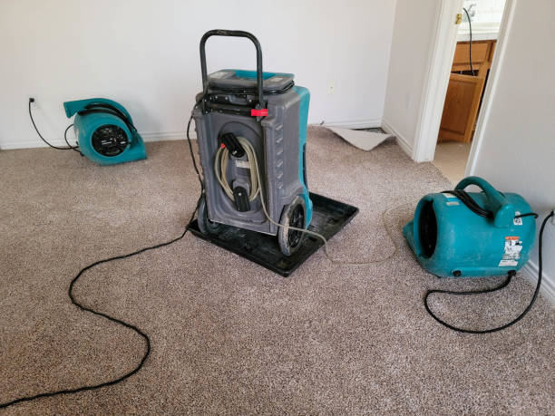 Best Fire Damage Restoration  in Bellevue, KY