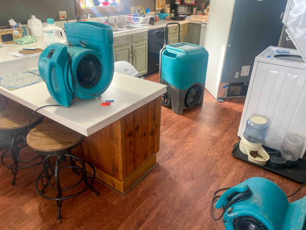 Best Professional water damage repair  in Bellevue, KY
