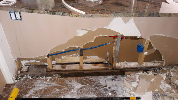 Best Carpet water damage restoration  in Bellevue, KY