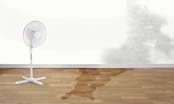  Bellevue, KY Water damage restoration Pros