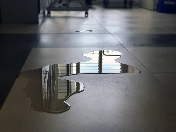 Best Water damage repair service  in Bellevue, KY