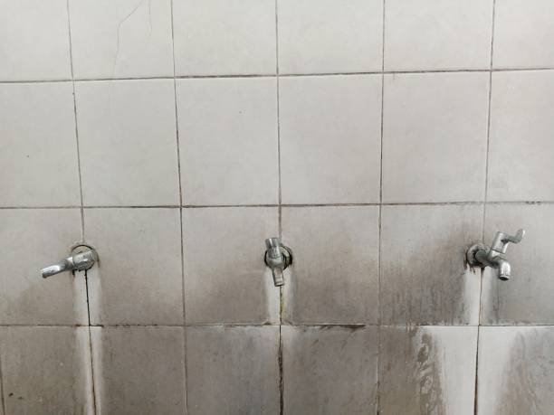 Trusted Bellevue, KY Water damage restoration Experts