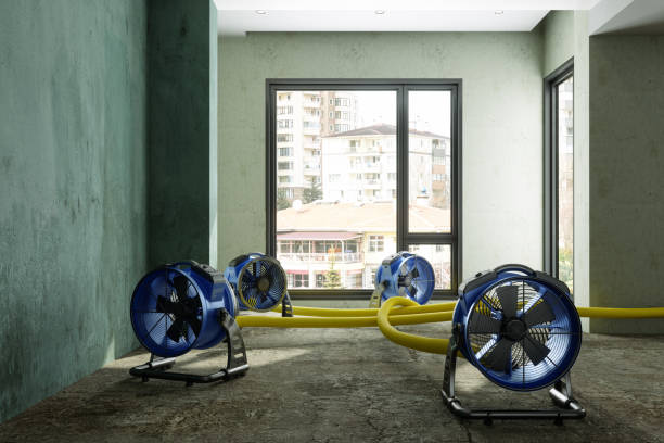 Water damage restoration insurance claims in Bellevue, KY