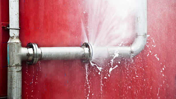 Best Water damage cleanup near me  in Bellevue, KY