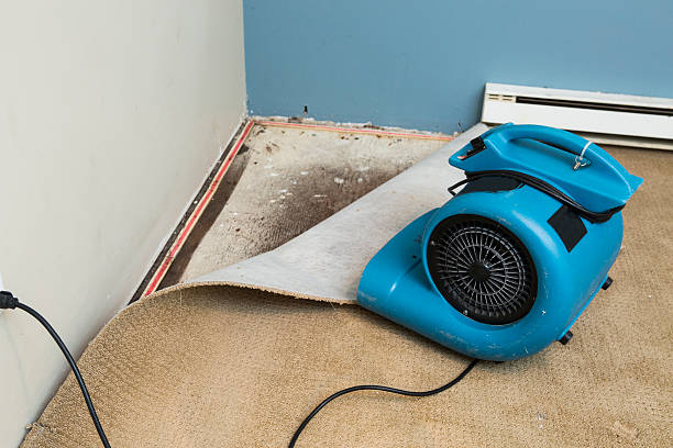 Best Water damage restoration near me  in Bellevue, KY